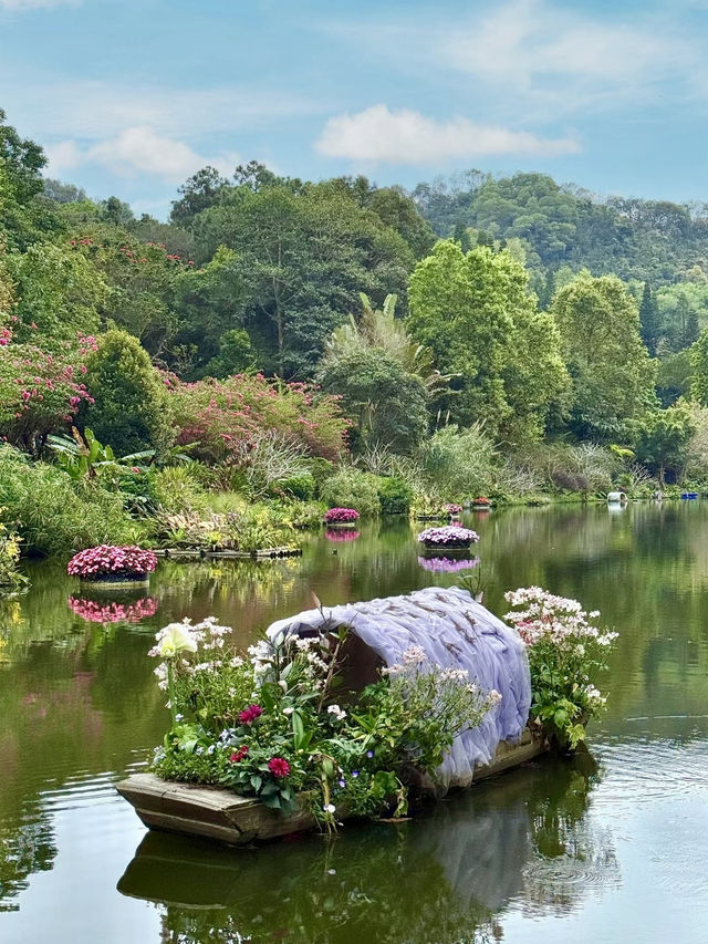 綠影婆娑：仙湖植物園的靜謐之旅