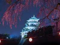 🌸Trip接送機|日本春日出遊指南·名古屋1