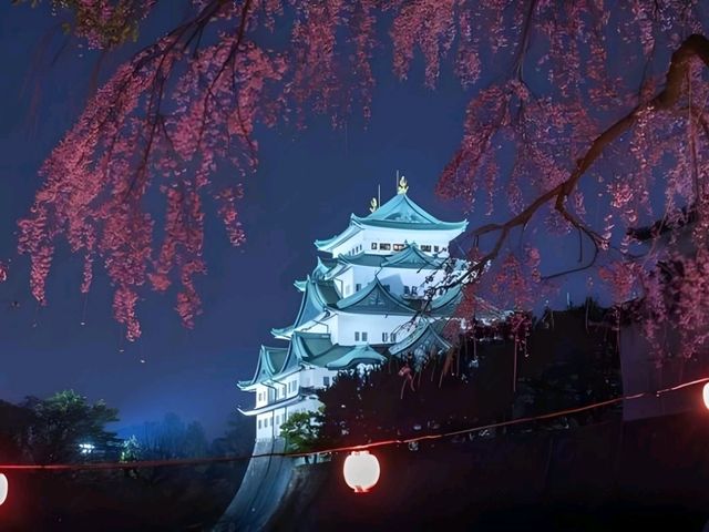 🌸Trip接送機|日本春日出遊指南·名古屋1