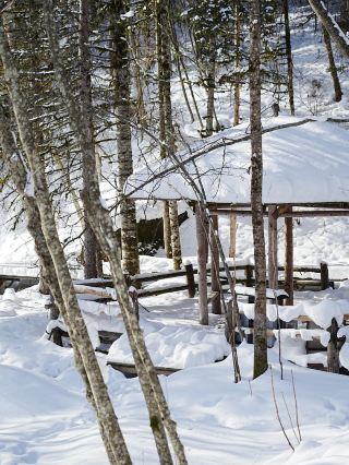 이춘 등 Citywalk 가이드, 놓치지 마세요!