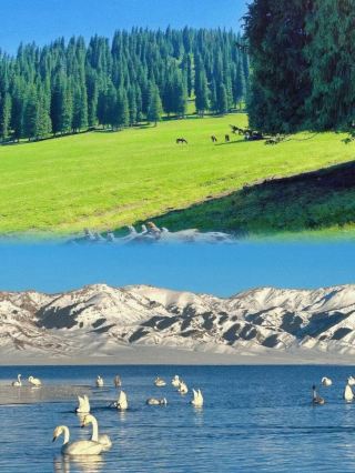 Ili: I almost thought I was in New Zealand! 