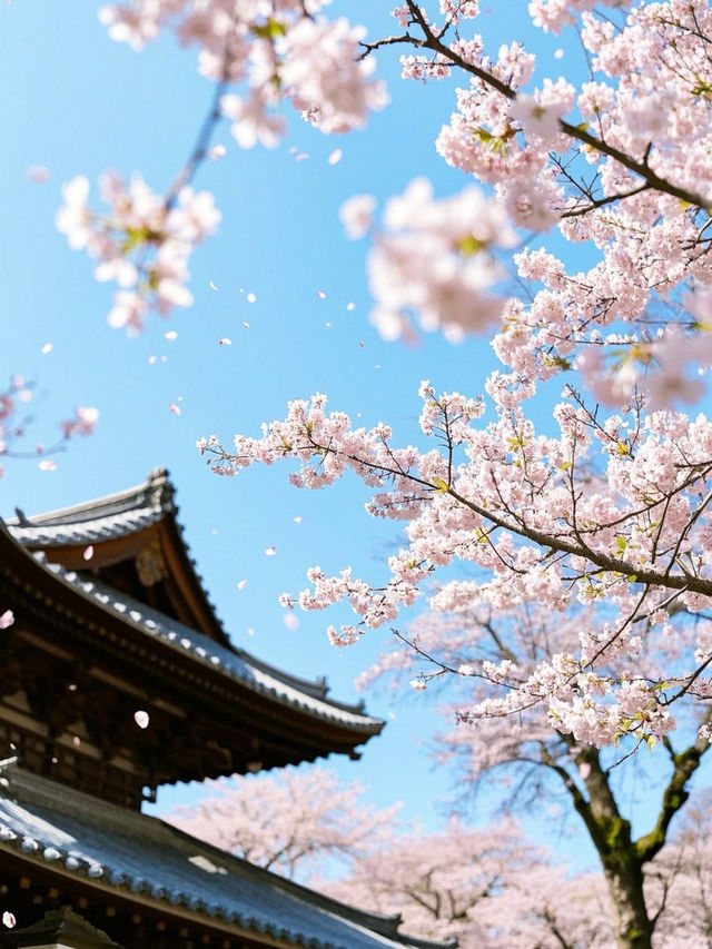 奈良櫻花四日遊：古都賞櫻全攻略