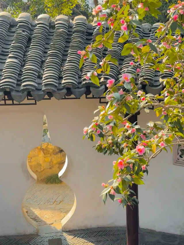 Discovering the Beauty of Suzhou: A Travel Guide