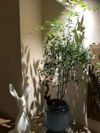 長沙隱世桃園，品縵兮酒店打卡全攻略