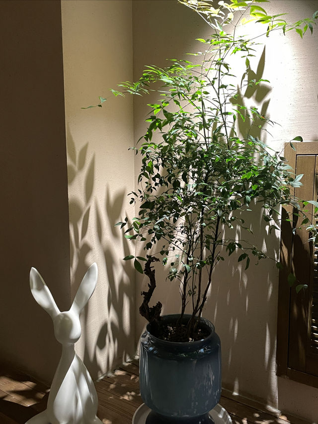 長沙隱世桃園，品縵兮酒店打卡全攻略