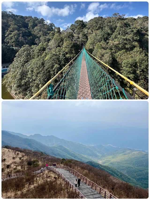 收藏這份攻略，去大圍山做一日「森林精靈」吧！ 