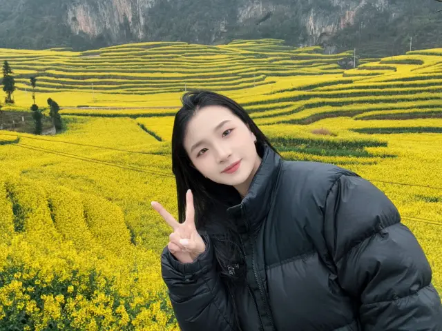 Luoping Molong Village: A Unique Rapeseed Flower Field Experience