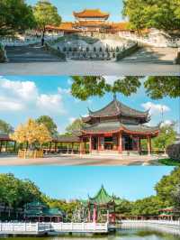 Blossoms in Guangzhou temple 