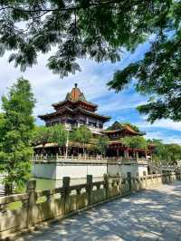 不去非洲在清遠長隆竟然能看到動物大遷徙