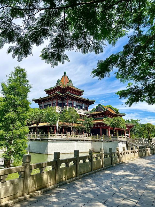 不去非洲在清遠長隆竟然能看到動物大遷徙