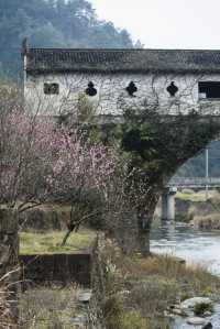 廊橋再夢：一座藏在深山的明代古橋