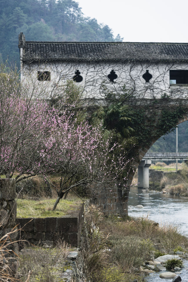 廊橋再夢：一座藏在深山的明代古橋