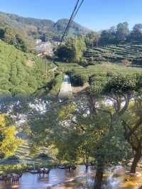 杭州龍井茂居，入住昆凌同款酒店