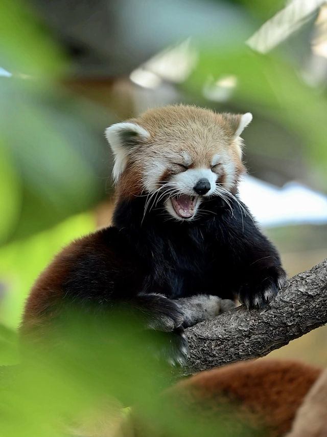 長春動植物園·西游記主題公園