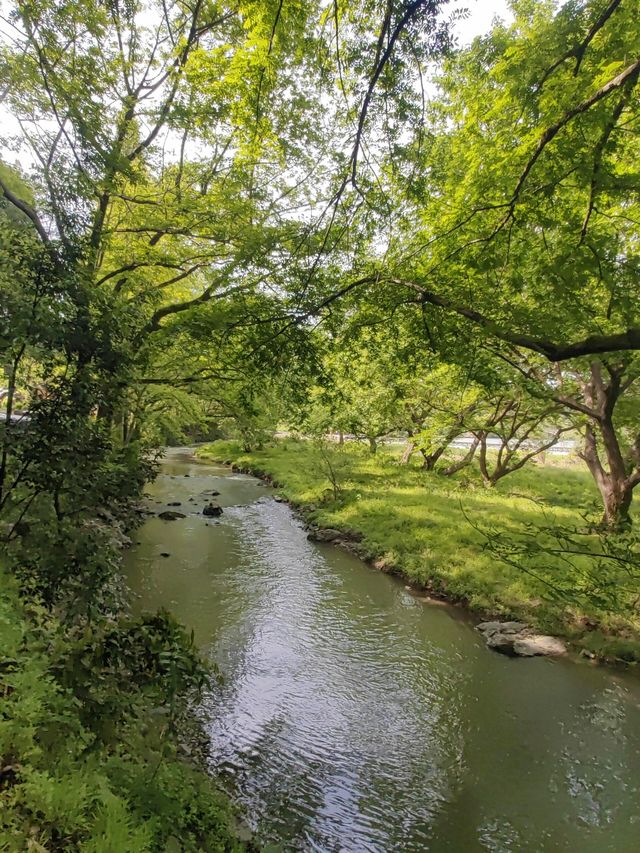 「邂逅黃帝飛升之地的山水詩畫」丨浙江仙都風景區