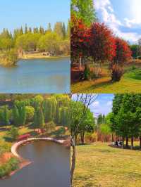 昆明寶豐濕地公園：滇池之畔的生態畫卷