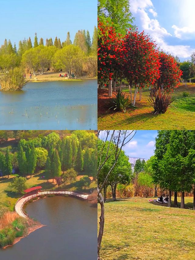 昆明寶豐濕地公園：滇池之畔的生態畫卷