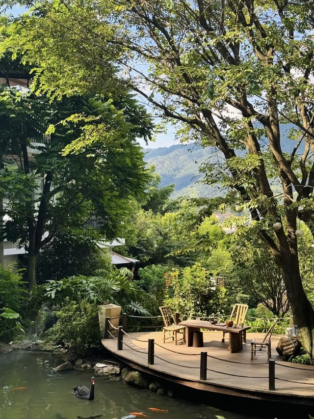 在漳州！住在風景裡，太舒服了！