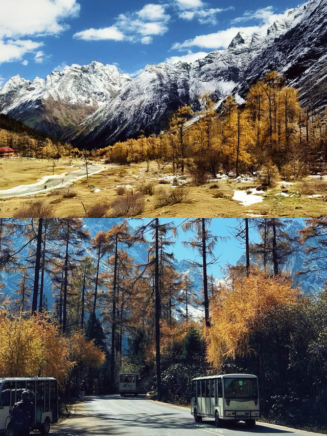 做了一個關於川西的夢