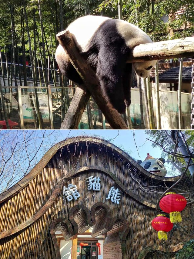 竹海隱逸記：在安雲悅南山的三日慢時光