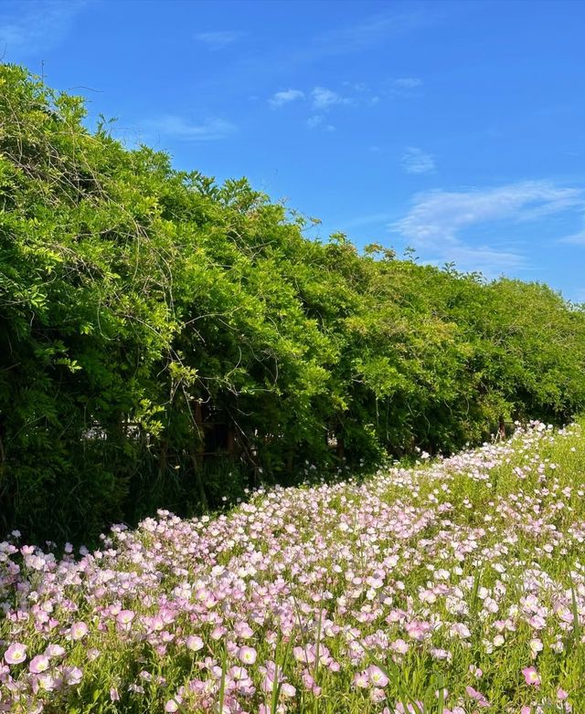 良渚公園