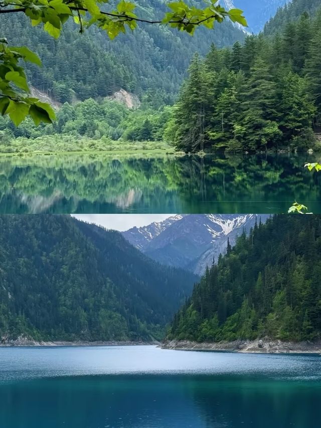 貢嘎啱啱返嚟，聽吓我嘅真實感受