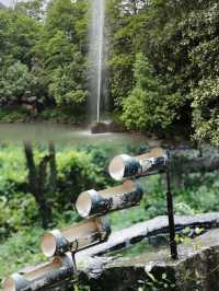 避暑秘境｜杭州小眾氧吧大奇山森林公園，徒步影相攻略