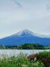 東京｜富士山果然冇令我失望