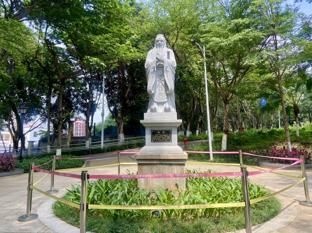 ☀️陽光下的沙井公園🌴✨城市中自然綠洲