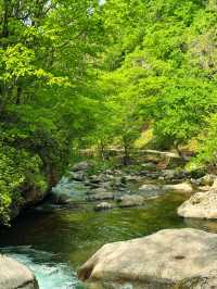 瀋陽周邊遊|搵到通往杜鵑花海嘅山間小路
