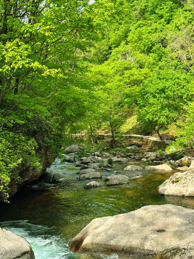 瀋陽周邊遊|搵到通往杜鵑花海嘅山間小路