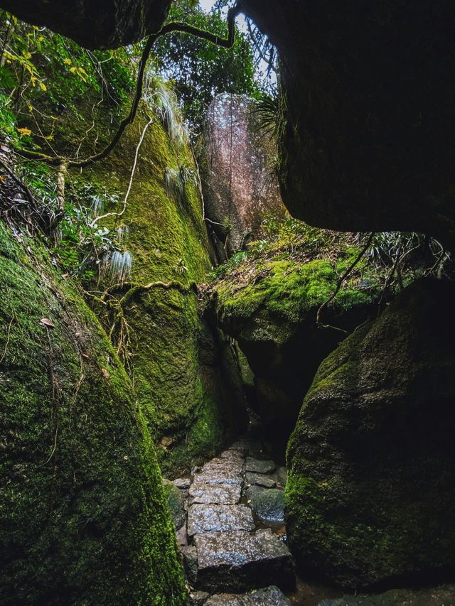 福建．四石礵列島