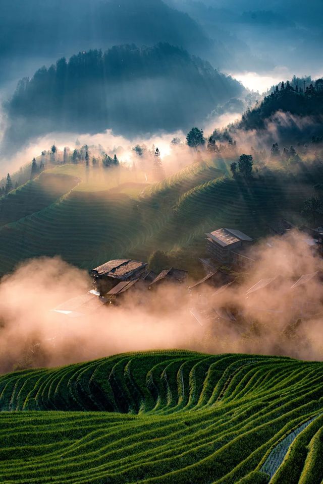 收好喇好難搵齊嘅最地道非遺旅行指南