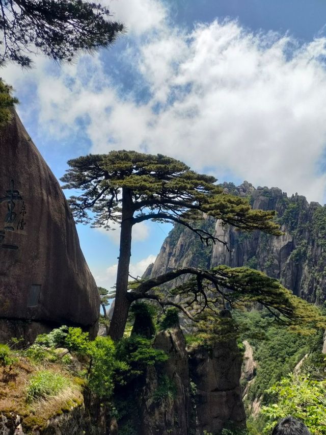 安徽旅遊首選～天下第一奇山，自然造化的史詩