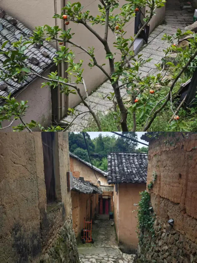 3 Days 2 Nights! Escape to the "Last Secret Land of Jiangnan" Certified by National Geographic