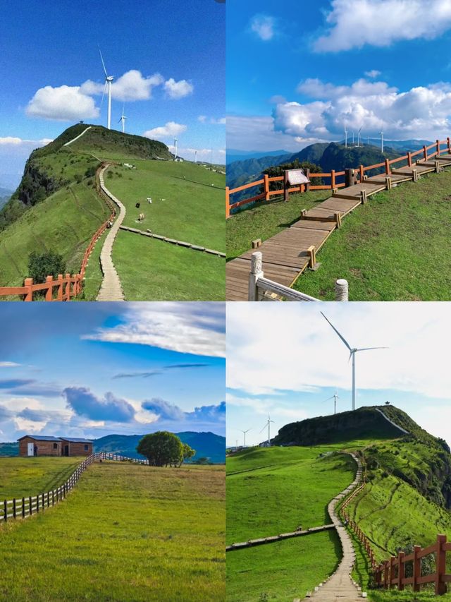 逃離40℃高溫！躲進貴州六盤水的天然空調房