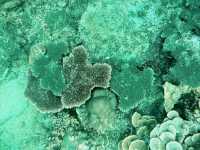 Unlock Paradise: Smart Visa Hacks for Your Koh Lipe & Semporna Snorkeling Adventure