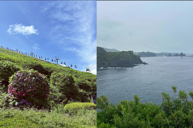 東京旅行｜周邊城市旅遊攻略
