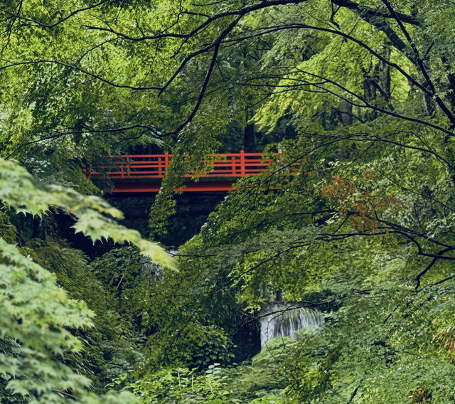 #京都三千院