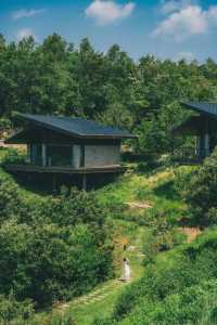 樸心山居｜信陽新晉度假民宿，住進山谷秘境中