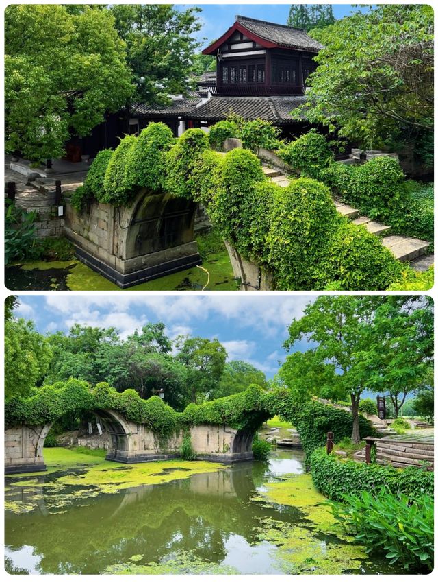 江南水鄉天花板！1500年的梅花洲，人少景絕！