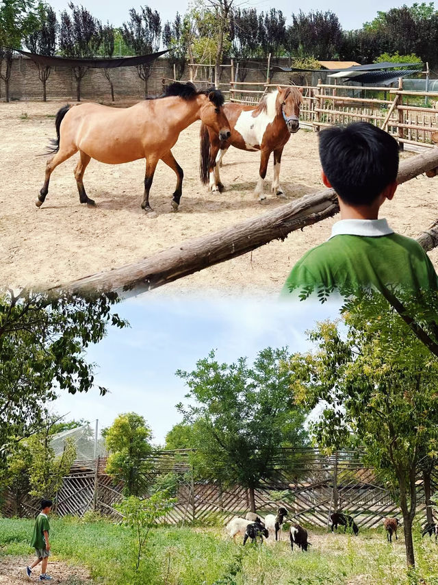 消磨時間好去處 | 漢陽驛房車營地 仲煩緊暑假帶小朋友去邊度玩？想避開人山人海，又希望活動豐富、體驗獨特？