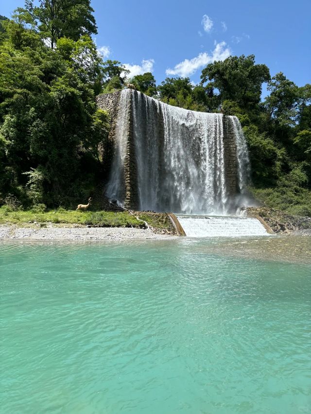 二郎山喇叭河餵鹿睇猴行山攻略，差啲俾馬騮襲擊！