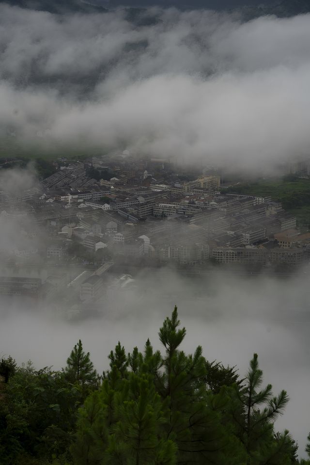 逃離人擠人溫州仁里村半嶺日出雲海 手機拍到記憶體爆炸！