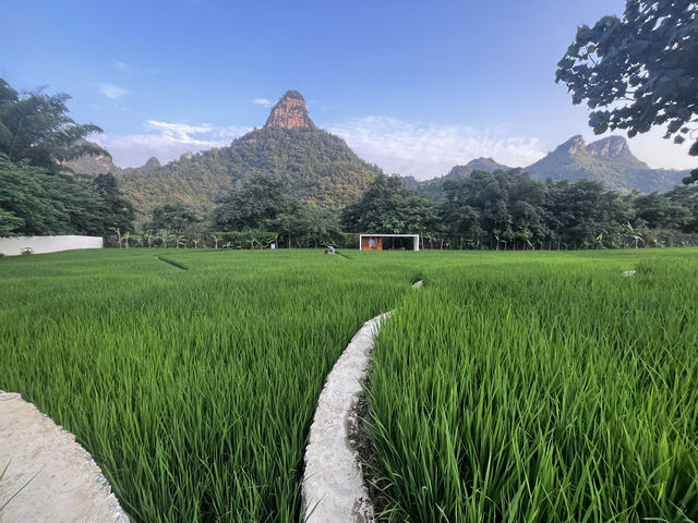 你永遠可以相信廣西嘅美景，崇左都有咩值得去嘅地方。