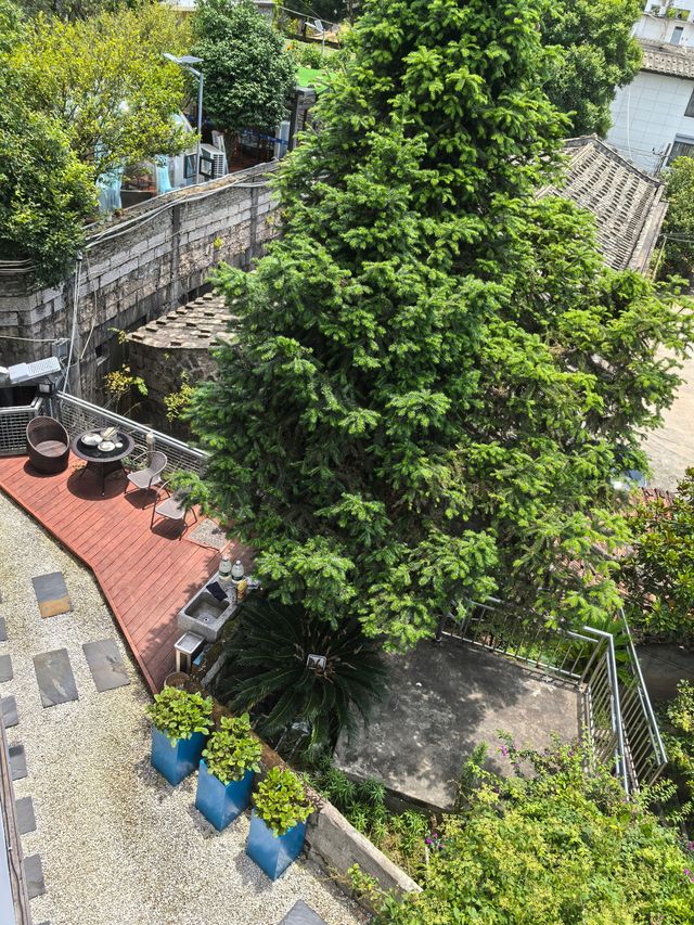 無盡夏日開啟，福州賞繡球花要抓緊了