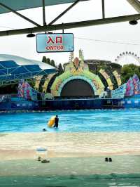 🌊杭州浪浪浪水公園｜夏天的快樂老家