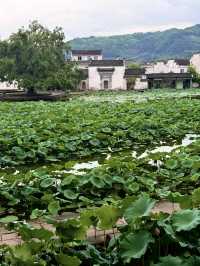 徽州呈坎皖南古鎮嘅夏日時光（附攻略