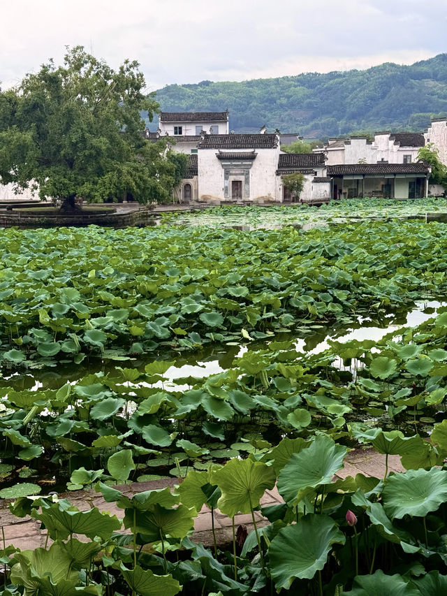 徽州呈坎皖南古鎮嘅夏日時光（附攻略