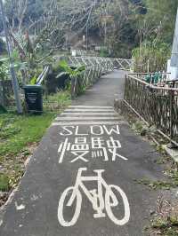 ⛰️香港行山新發現！東梅古道必衝攻略，尋覓大嶼山秘境！
